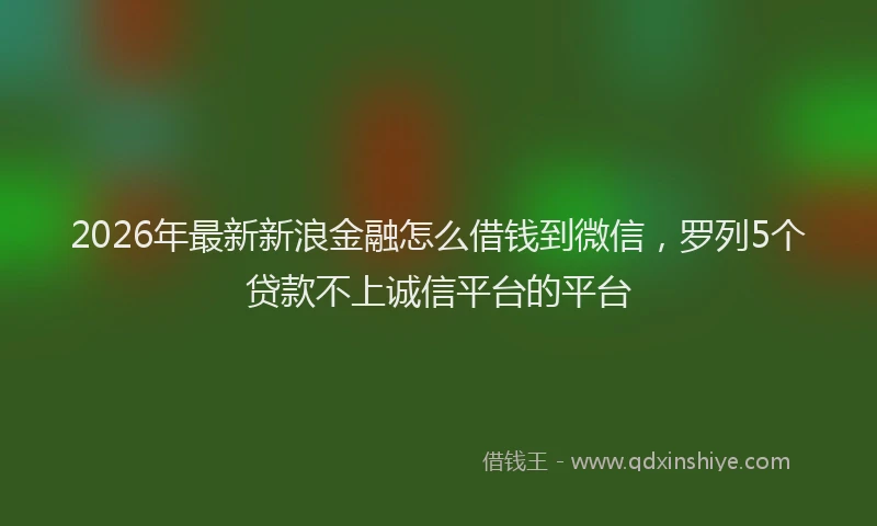2026年最新新浪金融怎么借钱到微信，罗列5个贷款不上诚信平台的平台