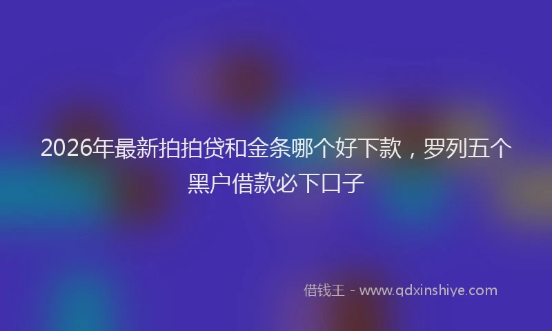 2026年最新拍拍贷和金条哪个好下款，罗列五个黑户借款必下口子