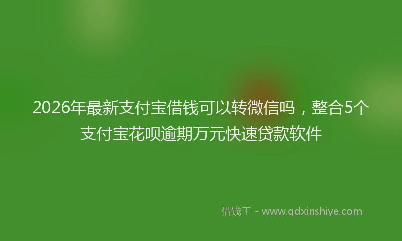 2026年最新支付宝借钱可以转微信吗，整合5个支付宝花呗逾期万元快速贷款软件