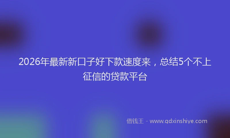 2026年最新新口子好下款速度来，总结5个不上征信的贷款平台
