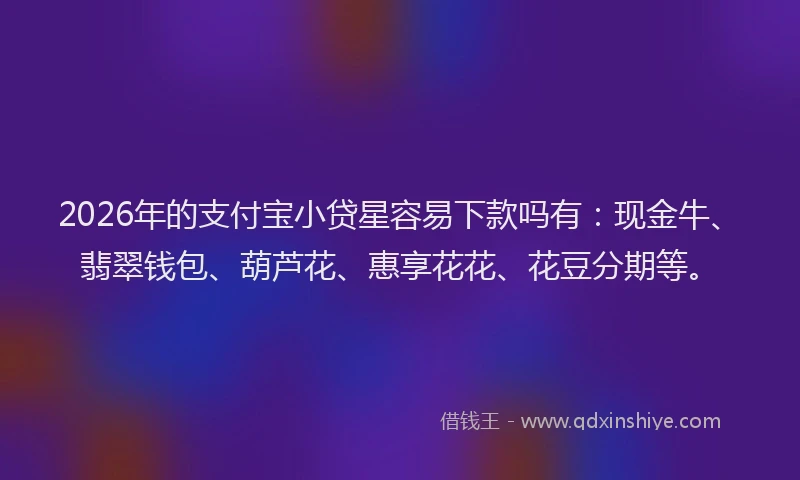 2026年的支付宝小贷星容易下款吗有：现金牛、翡翠钱包、葫芦花、惠享花花、花豆分期等。