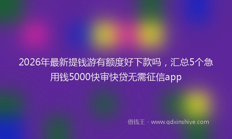 2026年最新提钱游有额度好下款吗，汇总5个急用钱5000快审快贷无需征信app