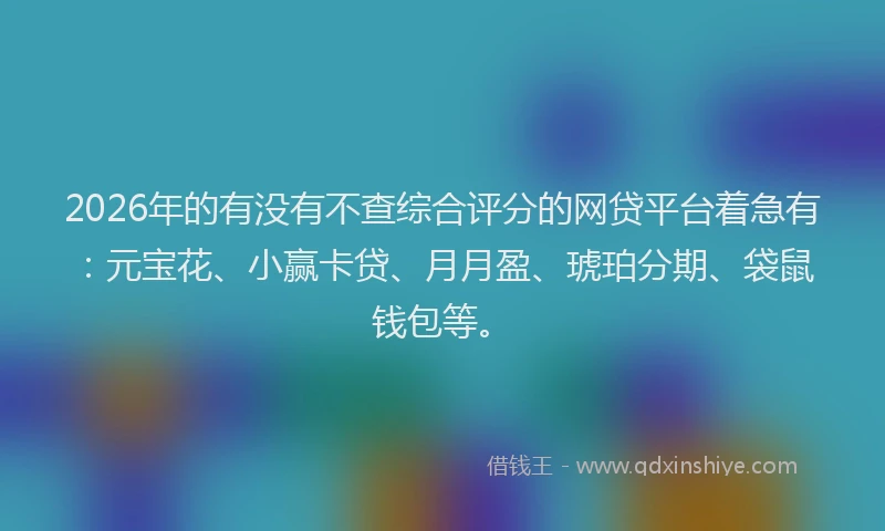 2026年的有没有不查综合评分的网贷平台着急有：元宝花、小赢卡贷、月月盈、琥珀分期、袋鼠钱包等。