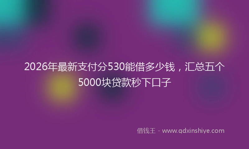 2026年最新支付分530能借多少钱，汇总五个5000块贷款秒下口子