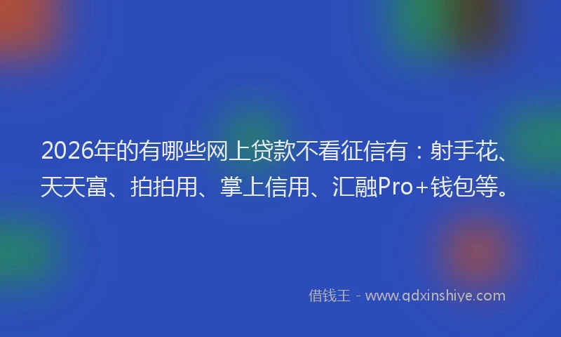 2026年的有哪些网上贷款不看征信有：射手花、天天富、拍拍用、掌上信用、汇融Pro+钱包等。