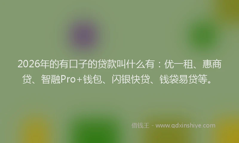 2026年的有口子的贷款叫什么有：优一租、惠商贷、智融Pro+钱包、闪银快贷、钱袋易贷等。