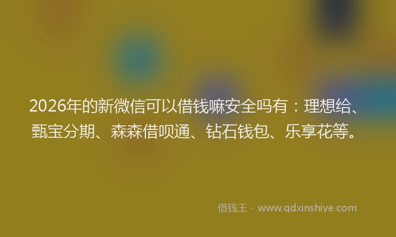 2026年的新微信可以借钱嘛安全吗有：理想给、甄宝分期、森森借呗通、钻石钱包、乐享花等。