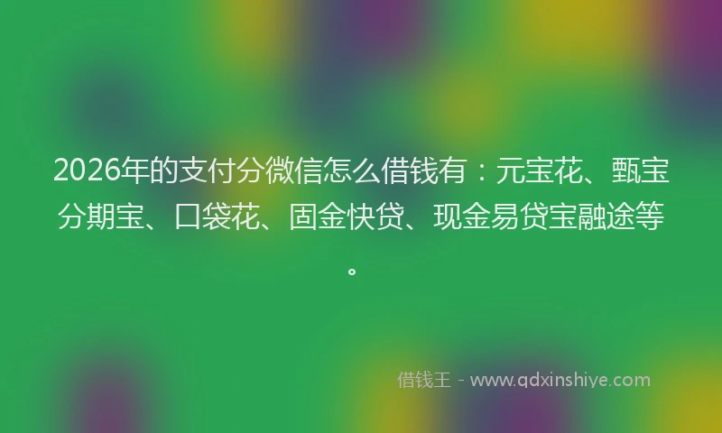 2026年的支付分微信怎么借钱有：元宝花、甄宝分期宝、口袋花、固金快贷、现金易贷宝融途等。