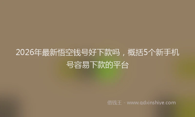 2026年最新悟空钱号好下款吗，概括5个新手机号容易下款的平台