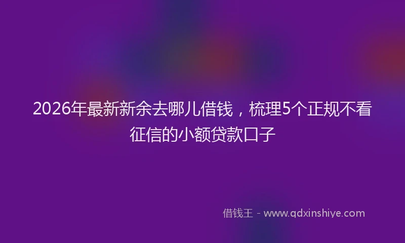 2026年最新新余去哪儿借钱，梳理5个正规不看征信的小额贷款口子