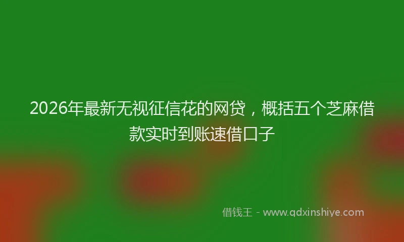 2026年最新无视征信花的网贷，概括五个芝麻借款实时到账速借口子