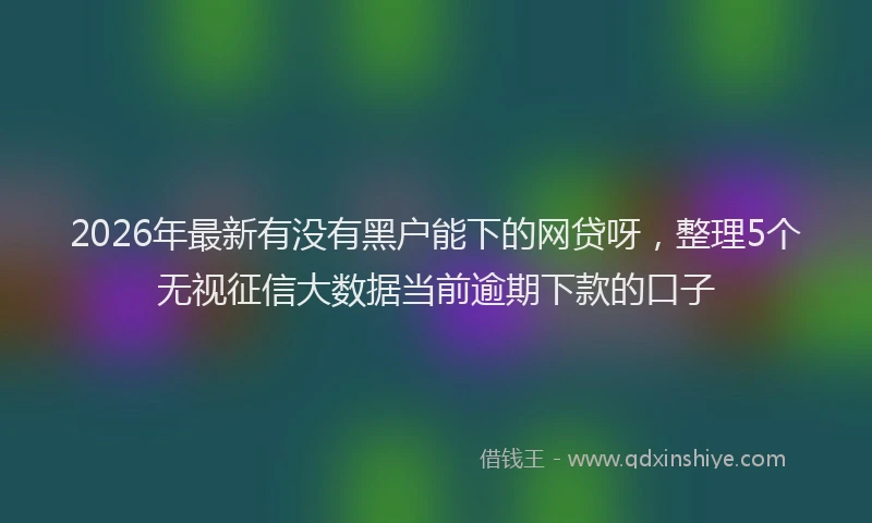 2026年最新有没有黑户能下的网贷呀，整理5个无视征信大数据当前逾期下款的口子