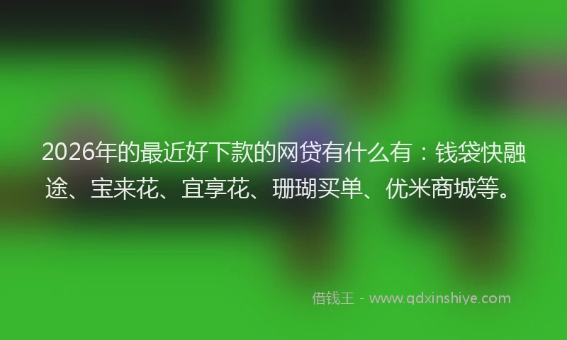 2026年的最近好下款的网贷有什么有：钱袋快融途、宝来花、宜享花、珊瑚买单、优米商城等。