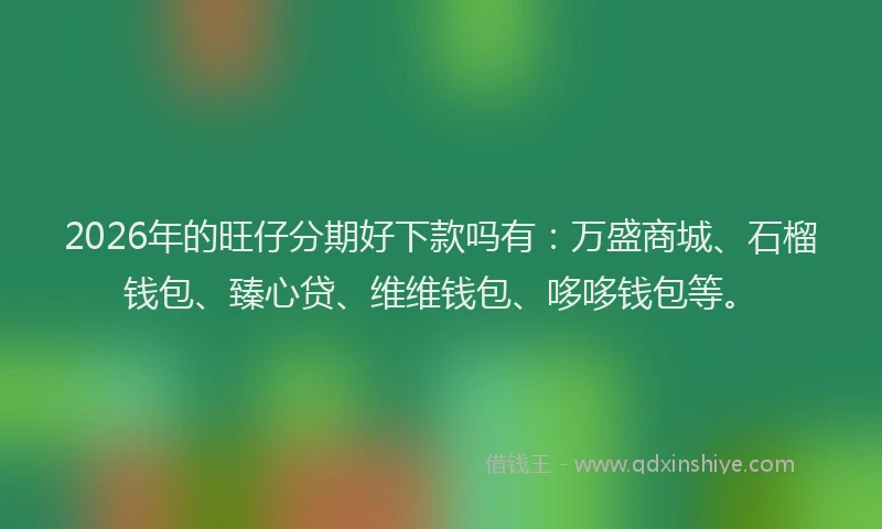 2026年的旺仔分期好下款吗有：万盛商城、石榴钱包、臻心贷、维维钱包、哆哆钱包等。