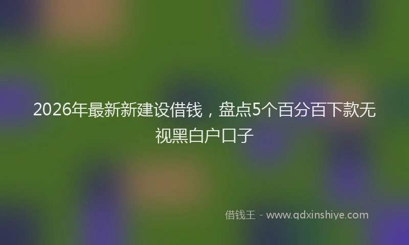 2026年最新新建设借钱，盘点5个百分百下款无视黑白户口子