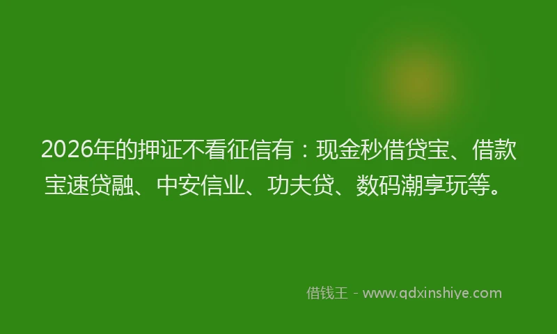 2026年的押证不看征信有：现金秒借贷宝、借款宝速贷融、中安信业、功夫贷、数码潮享玩等。