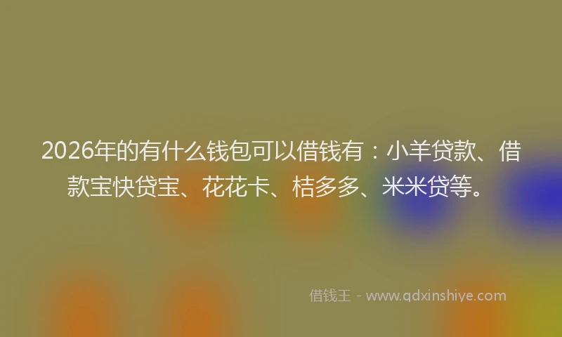 2026年的有什么钱包可以借钱有：小羊贷款、借款宝快贷宝、花花卡、桔多多、米米贷等。