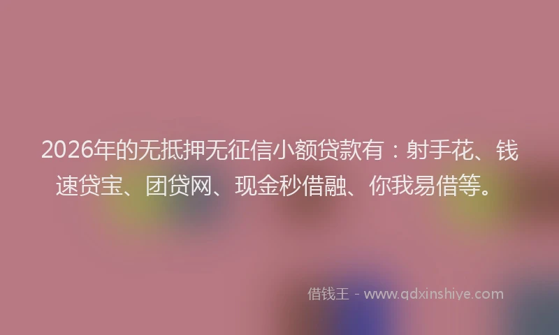 2026年的无抵押无征信小额贷款有：射手花、钱速贷宝、团贷网、现金秒借融、你我易借等。