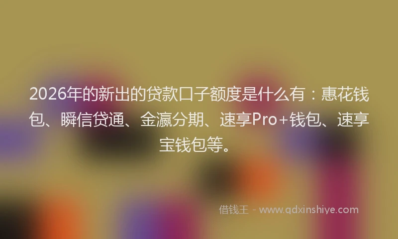 2026年的新出的贷款口子额度是什么有：惠花钱包、瞬信贷通、金瀛分期、速享Pro+钱包、速享宝钱包等。