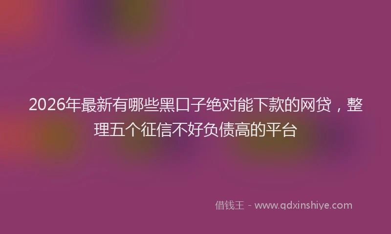2026年最新有哪些黑口子绝对能下款的网贷，整理五个征信不好负债高的平台