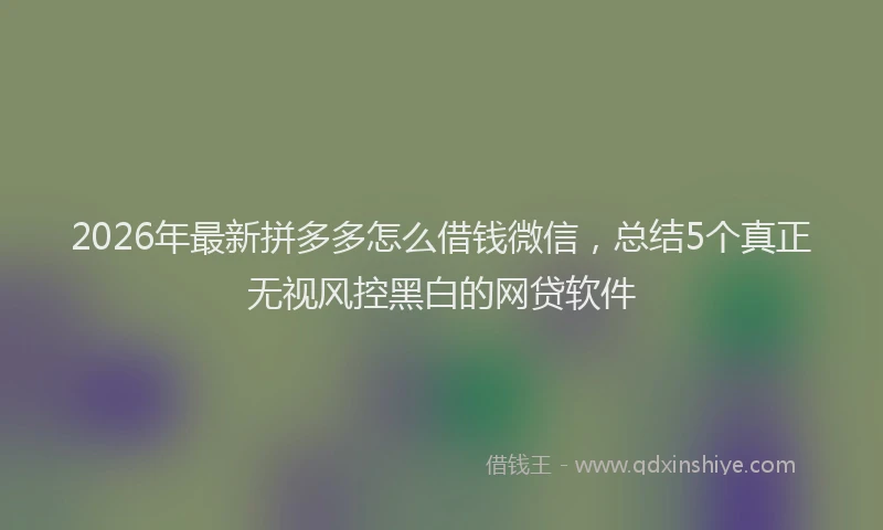 2026年最新拼多多怎么借钱微信，总结5个真正无视风控黑白的网贷软件