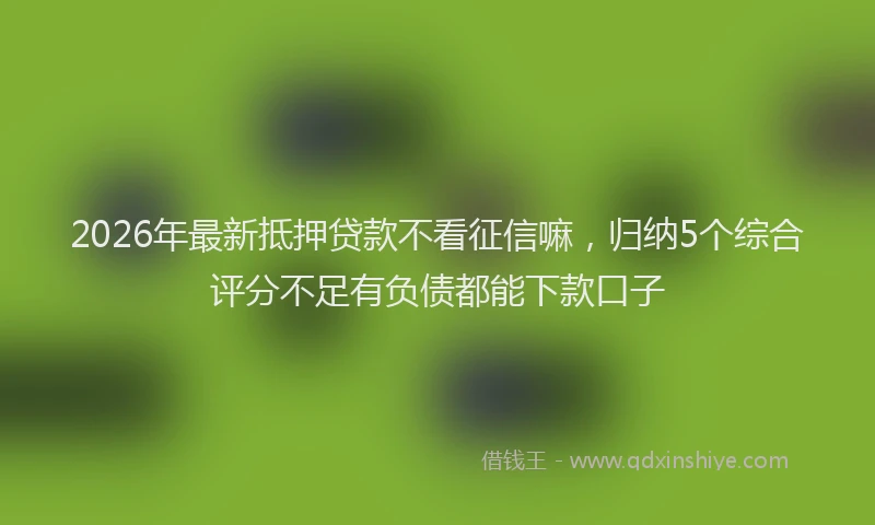 2026年最新抵押贷款不看征信嘛，归纳5个综合评分不足有负债都能下款口子