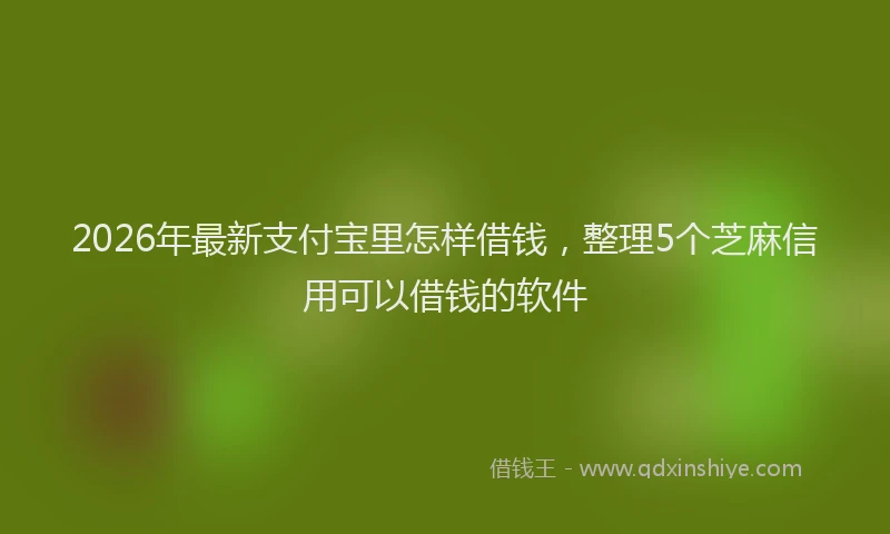 2026年最新支付宝里怎样借钱，整理5个芝麻信用可以借钱的软件