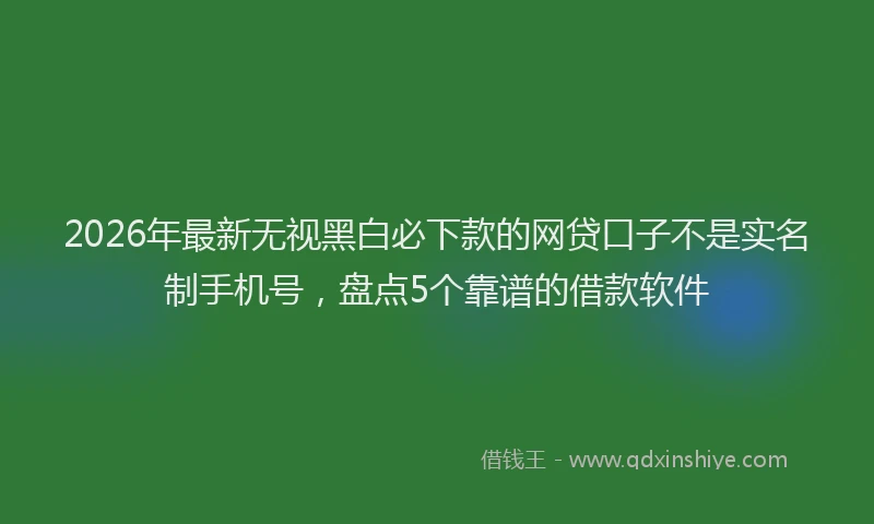 2026年最新无视黑白必下款的网贷口子不是实名制手机号，盘点5个靠谱的借款软件