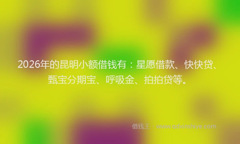 2026年的昆明小额借钱有：星愿借款、快快贷、甄宝分期宝、呼吸金、拍拍贷等。