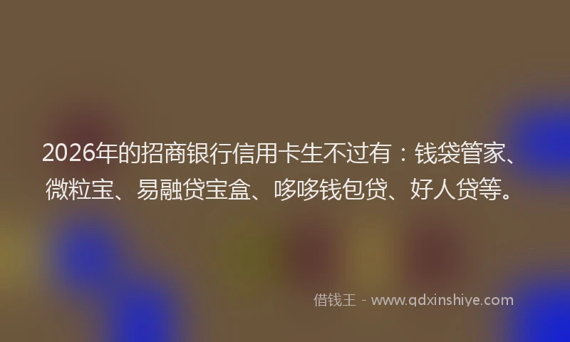 2026年的招商银行信用卡生不过有：钱袋管家、微粒宝、易融贷宝盒、哆哆钱包贷、好人贷等。
