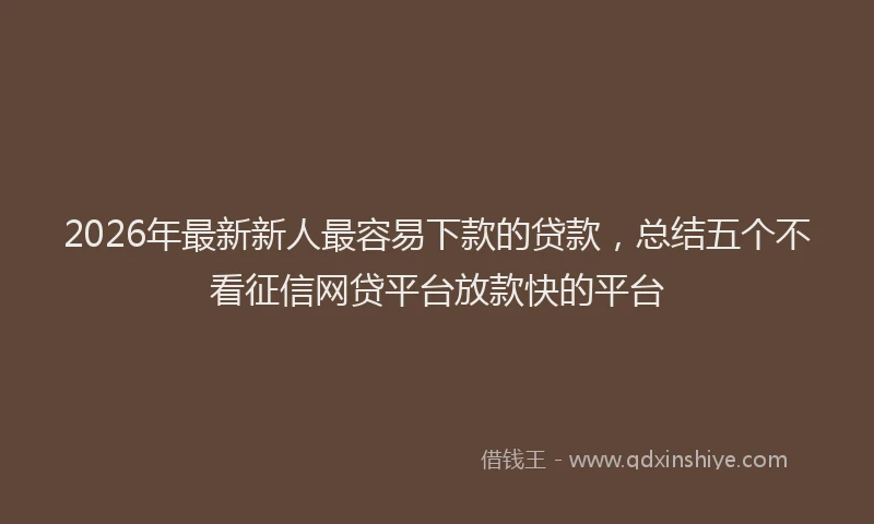 2026年最新新人最容易下款的贷款，总结五个不看征信网贷平台放款快的平台