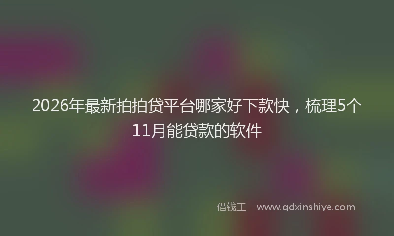 2026年最新拍拍贷平台哪家好下款快，梳理5个11月能贷款的软件