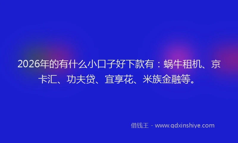2026年的有什么小口子好下款有：蜗牛租机、京卡汇、功夫贷、宜享花、米族金融等。