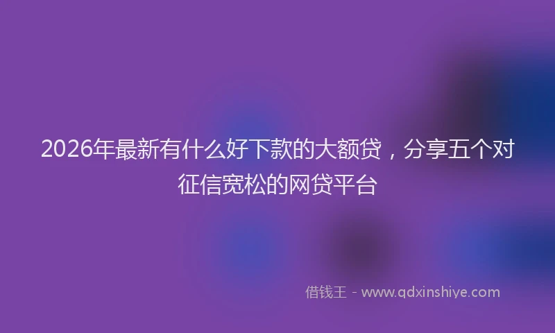 2026年最新有什么好下款的大额贷，分享五个对征信宽松的网贷平台