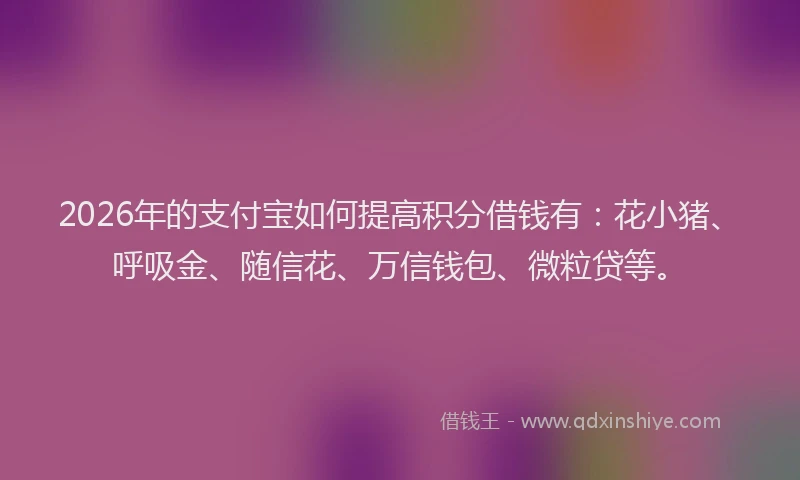 2026年的支付宝如何提高积分借钱有：花小猪、呼吸金、随信花、万信钱包、微粒贷等。