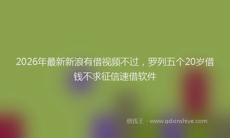 2026年最新新浪有借视频不过，罗列五个20岁借钱不求征信速借软件