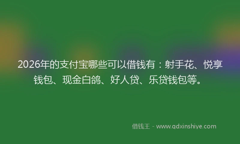 2026年的支付宝哪些可以借钱有：射手花、悦享钱包、现金白鸽、好人贷、乐贷钱包等。