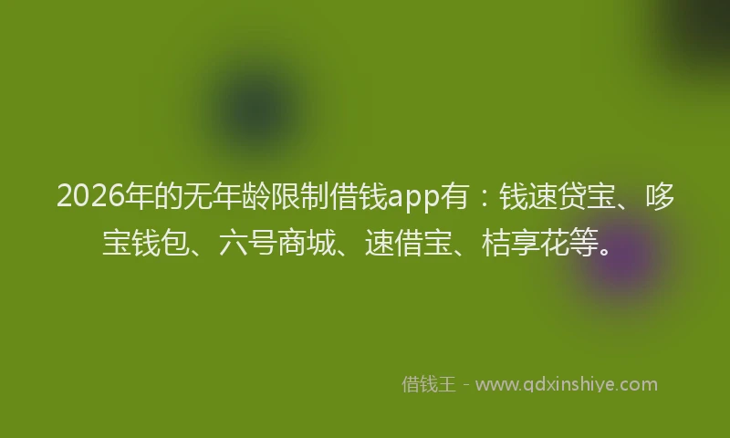 2026年的无年龄限制借钱app有：钱速贷宝、哆宝钱包、六号商城、速借宝、桔享花等。