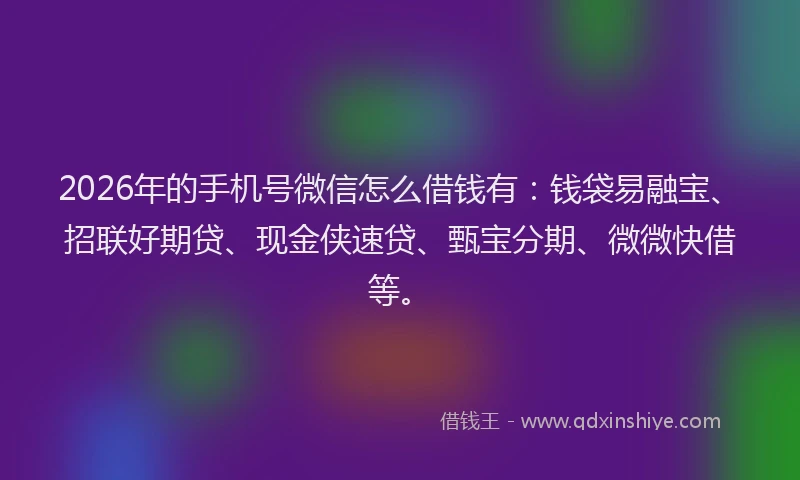 2026年的手机号微信怎么借钱有：钱袋易融宝、招联好期贷、现金侠速贷、甄宝分期、微微快借等。