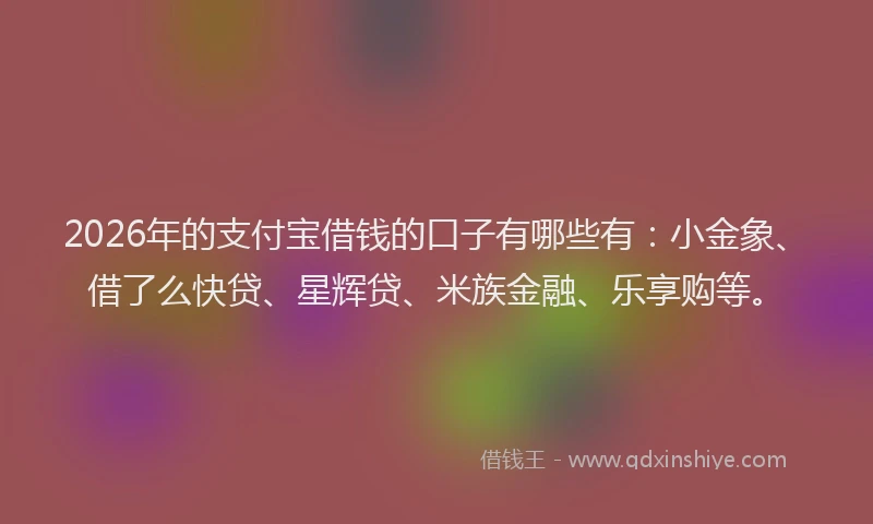 2026年的支付宝借钱的口子有哪些有：小金象、借了么快贷、星辉贷、米族金融、乐享购等。