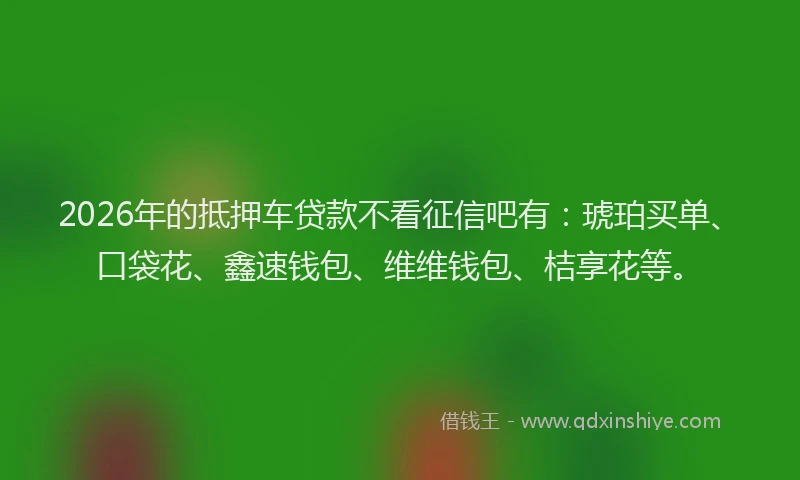 2026年的抵押车贷款不看征信吧有：琥珀买单、口袋花、鑫速钱包、维维钱包、桔享花等。