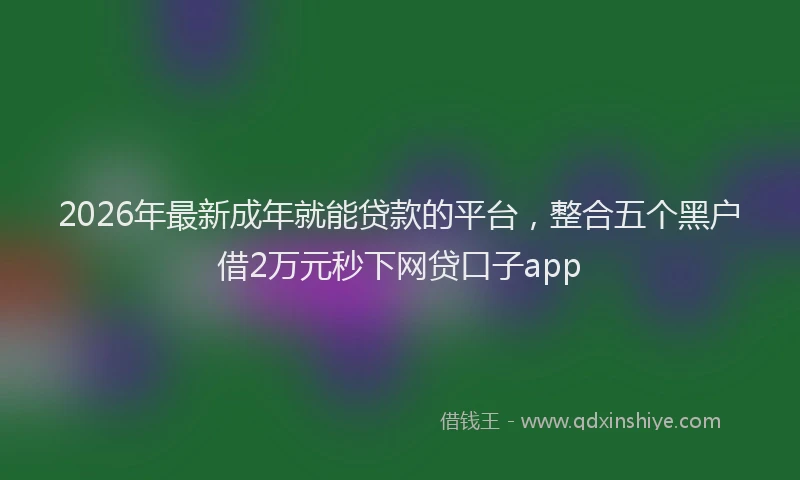 2026年最新成年就能贷款的平台,整合五个黑户借2万元秒下网贷口子app