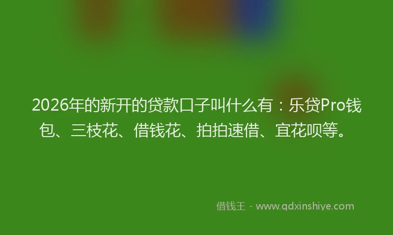 2026年的新开的贷款口子叫什么有：乐贷Pro钱包、三枝花、借钱花、拍拍速借、宜花呗等。
