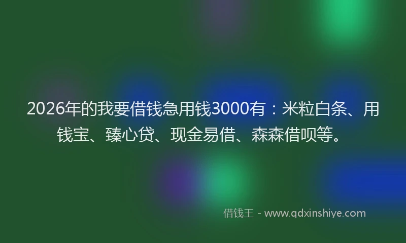 2026年的我要借钱急用钱3000有：米粒白条、用钱宝、臻心贷、现金易借、森森借呗等。