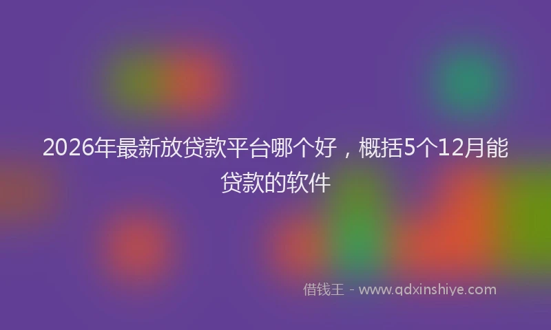 2026年最新放贷款平台哪个好，概括5个12月能贷款的软件
