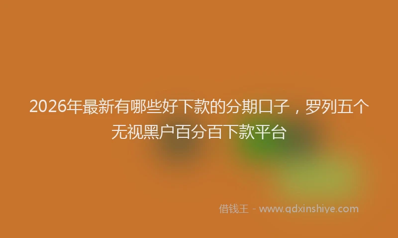 2026年最新有哪些好下款的分期口子，罗列五个无视黑户百分百下款平台