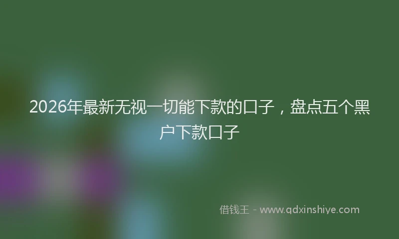 2026年最新无视一切能下款的口子，盘点五个黑户下款口子
