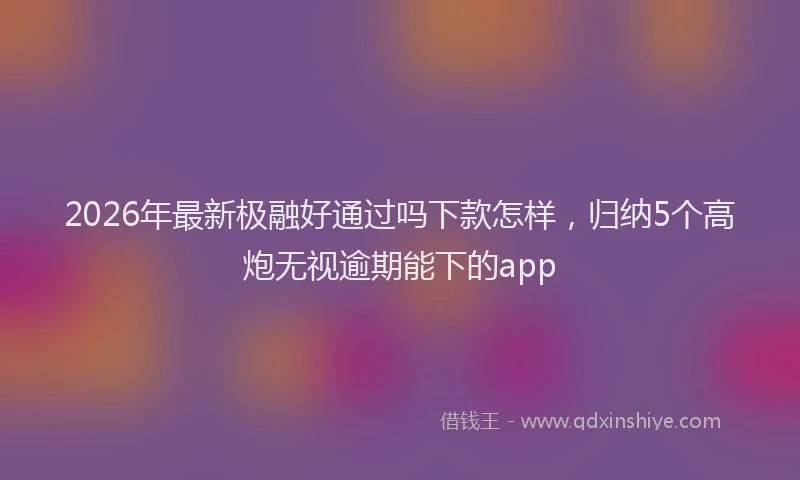 2026年最新极融好通过吗下款怎样，归纳5个高炮无视逾期能下的app