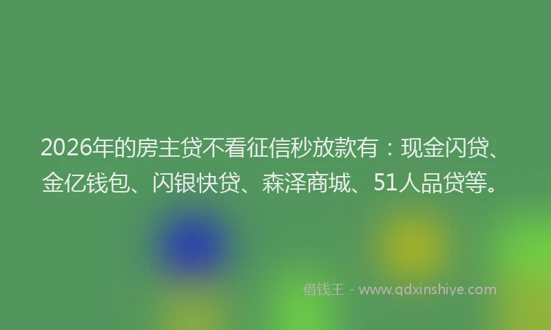 2026年的房主贷不看征信秒放款有：现金闪贷、金亿钱包、闪银快贷、森泽商城、51人品贷等。