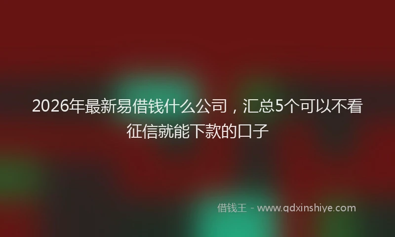 2026年最新易借钱什么公司，汇总5个可以不看征信就能下款的口子